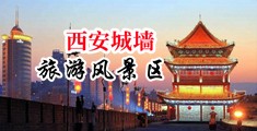 男生伸进女生屁股下载视频网站中国陕西-西安城墙旅游风景区
