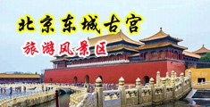 韩国男的脱女人衣服摸女人下面激情视频中国北京-东城古宫旅游风景区